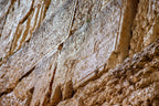 Kotel Western Wall Wet by Night